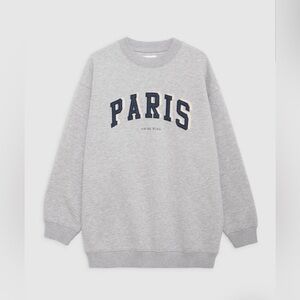 NWOT Anine Bing Tyler Sweatshirt Paris